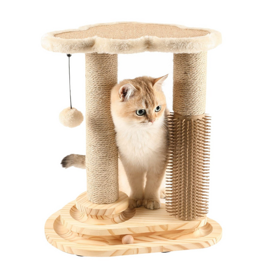 Cat Scratching Post